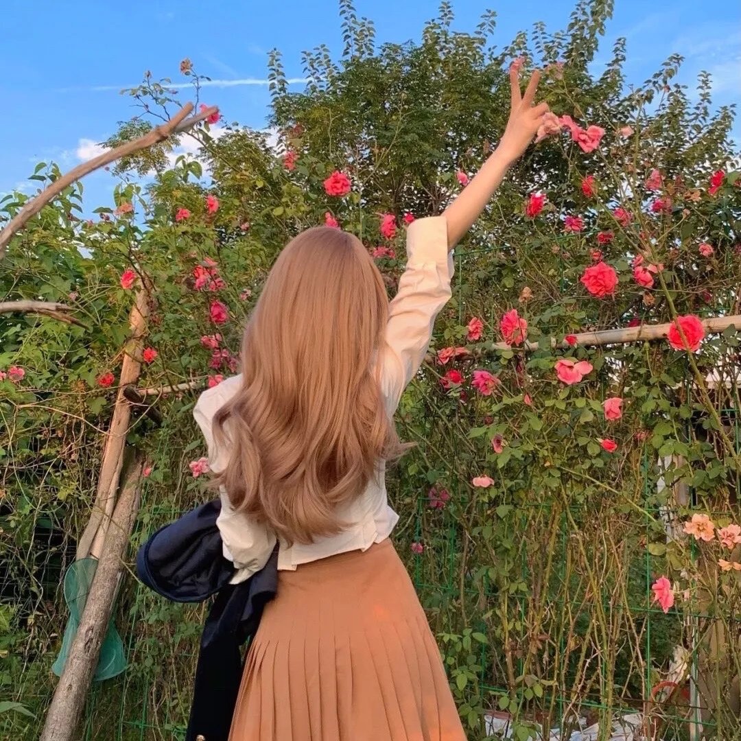 探险活宝第一季